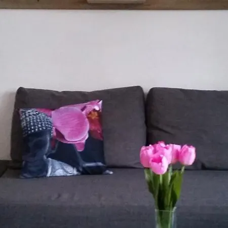 Fichtenweg 43-4 * 温特贝格